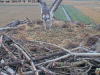 videoframe_979680