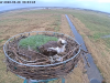 videoframe_108998
