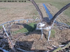videoframe_14279
