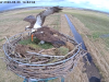 videoframe_1703390