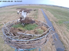 videoframe_2160417