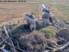 videoframe_33295