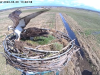 videoframe_737788